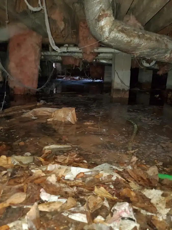 Crawl space flood assessment for Leak Detection & Repair in Crestwood